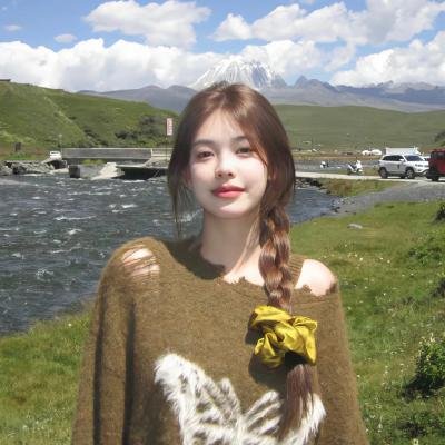 迷你特工队之拯救恐龙王封面