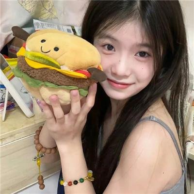 卧底费瑞的故事